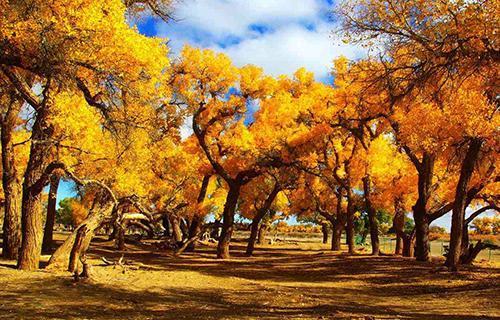 内蒙名声在外的两个城市, 下辖了最少的县级单