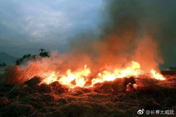 九台、农安、伊通等地部分镇村干部因秸秆禁烧