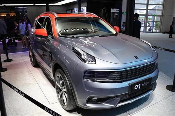 奇葩混合口味粽 叫板 新能源混合动力车，谁混谁知道！