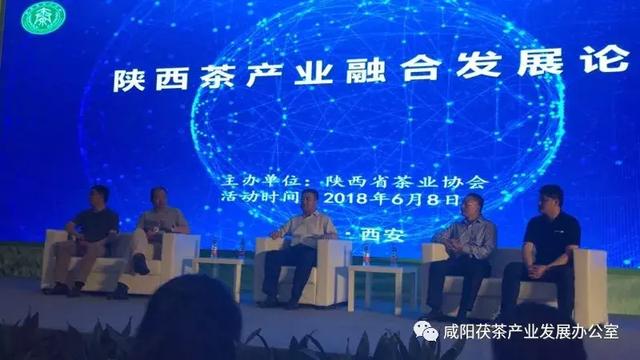 西安国际茶博会开幕,咸阳茯茶亮了