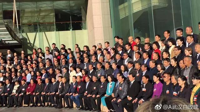 杨洋佟丽娅徐峥张杰沈腾等参加中国文艺志愿者