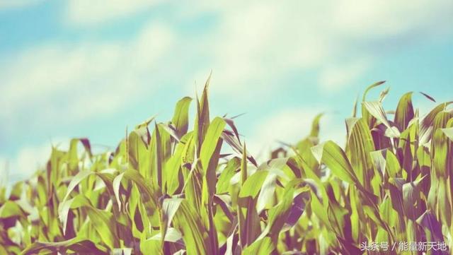 激励人心的正能量句子 句句经典 时时更新自我