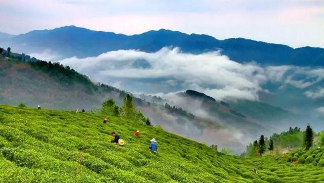 竹溪偏头山 竹溪保险公司