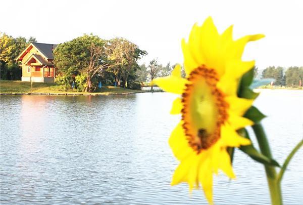 远离尘世的喧嚣,吉林磐石鹭鸶湖风景区这个黄