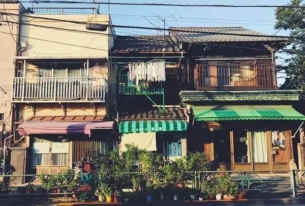 东京散步的绝佳去处