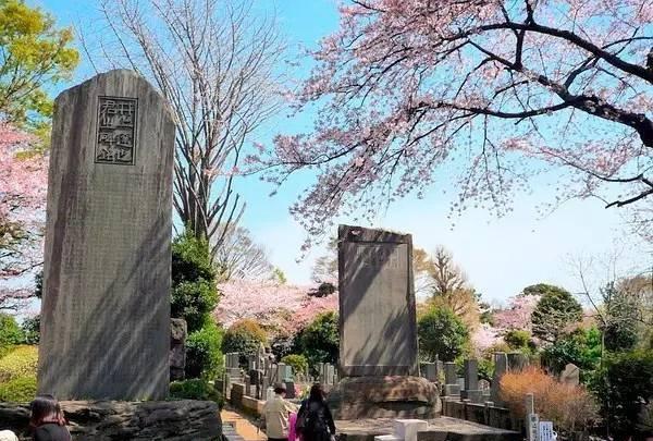 东京散步的绝佳去处