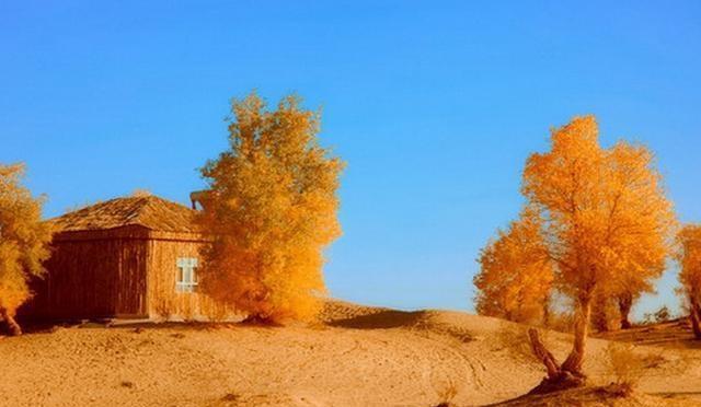 中国维族人口_感动中国维族大娘(3)