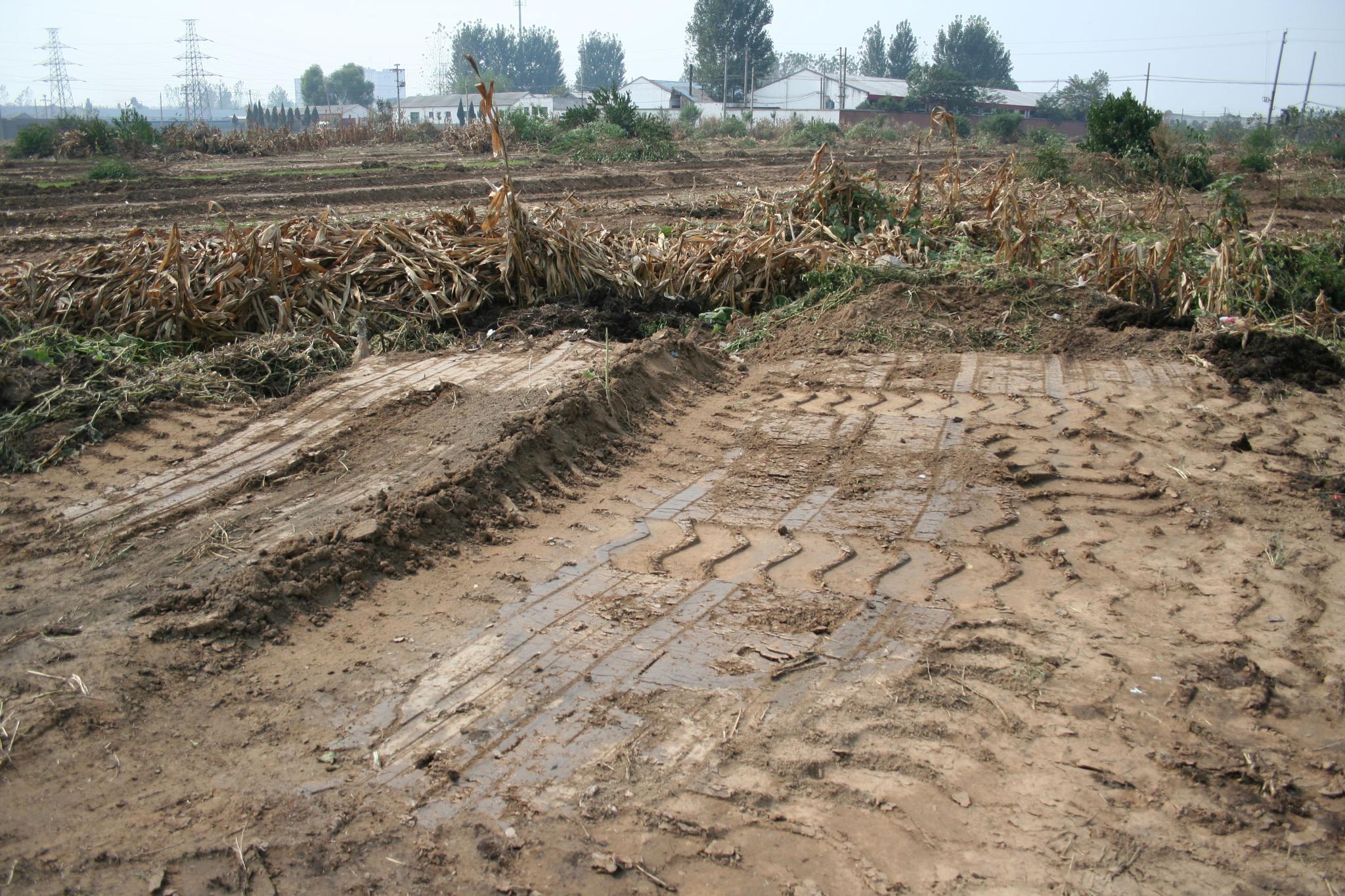 农村土地征收要注意这些问题,不然会损失很多利益!