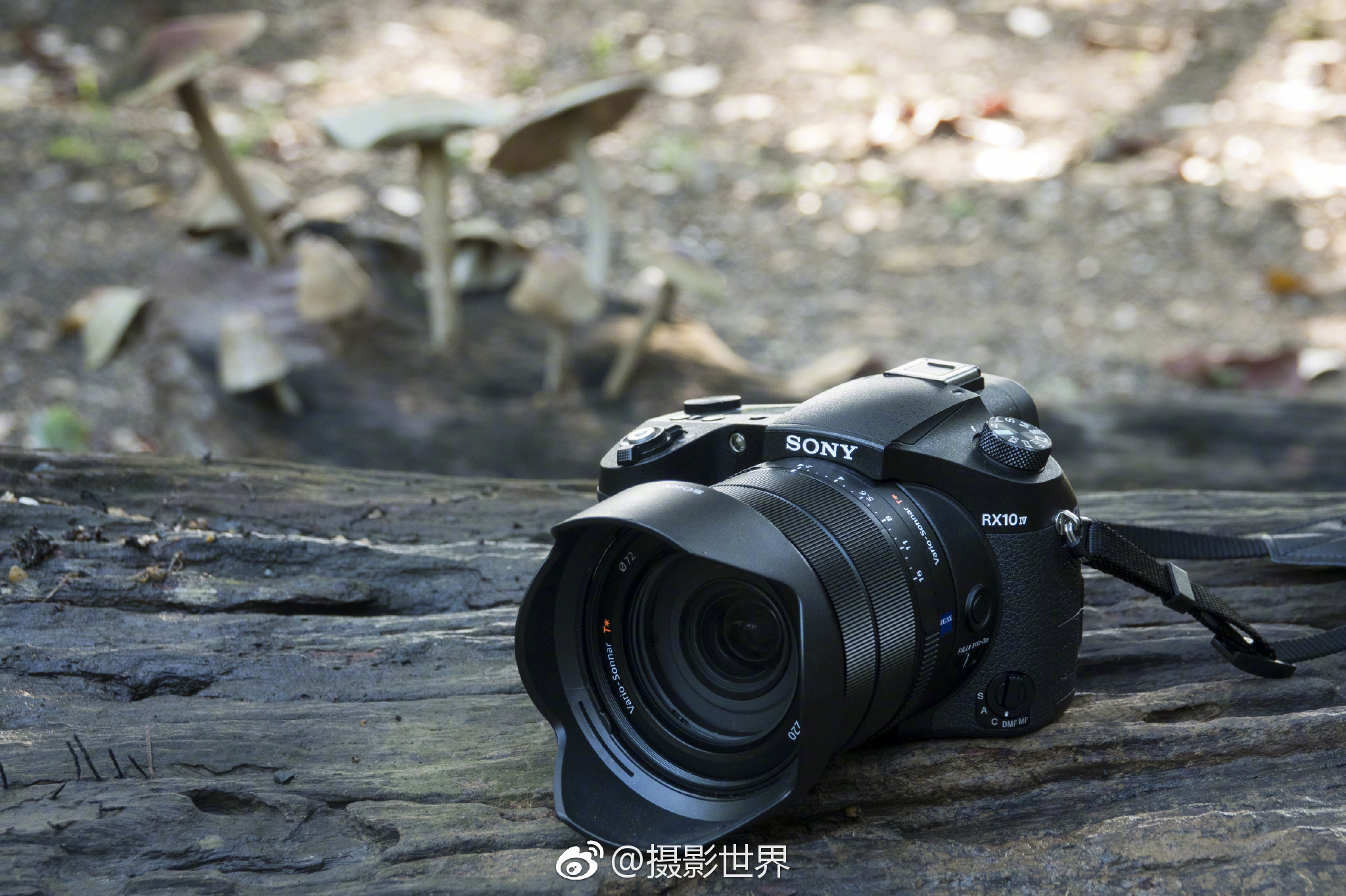 带着镜头等效 24~600mm 焦距的索尼黑卡 RX