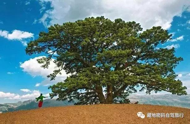 被上帝垂青大地—云南东川红土地,最新旅游及摄影攻略!!
