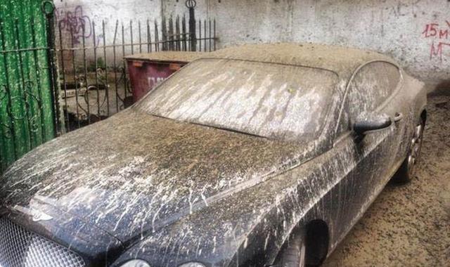 “宾利“必看资讯都在这，你错过了吗