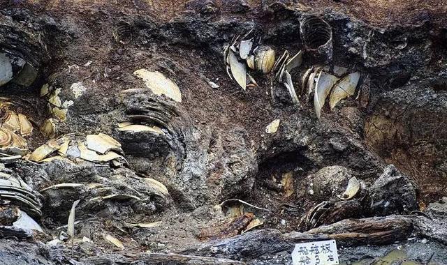 南海一号听过没, 这可是史上最牛沉船啊!