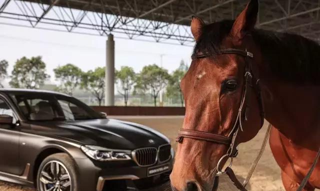 BMW 贵气 当“宝”马与宝马不期而遇……