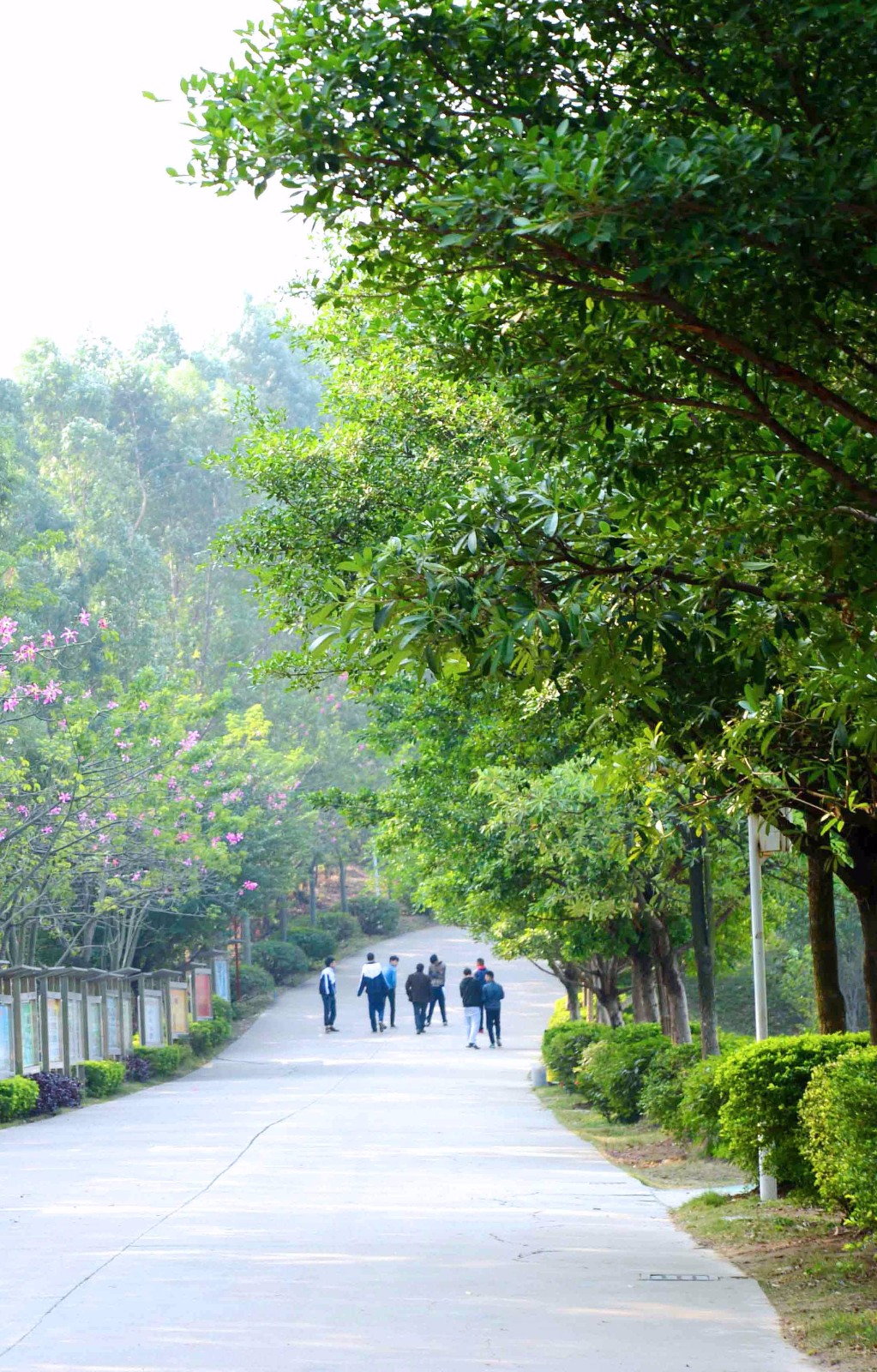 【权威发布】广东省高新技术技工学校2018年