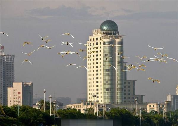 因抖音而火的南宁,最好的地方却不在抖音,这几