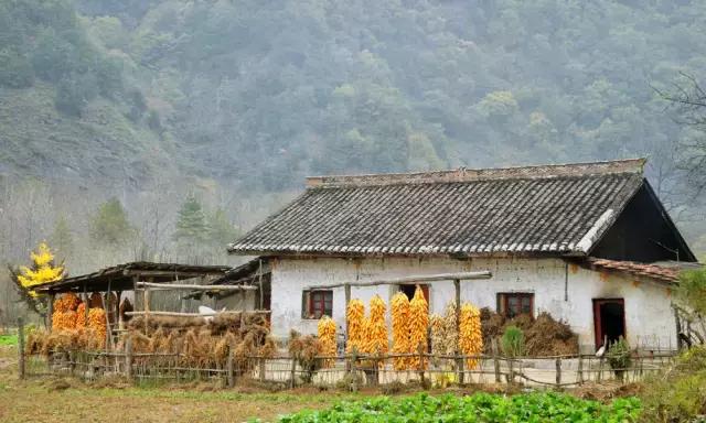 陕西十大旅游名镇之十|太白县黄柏塬镇