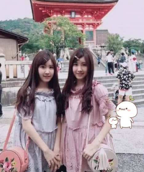 台湾“最美的双胞胎姐妹”长大了，颜值令人沉醉，神似章泽天！