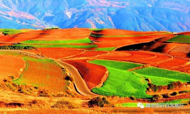 被上帝垂青大地—云南东川红土地,最新旅游及摄影攻略!!
