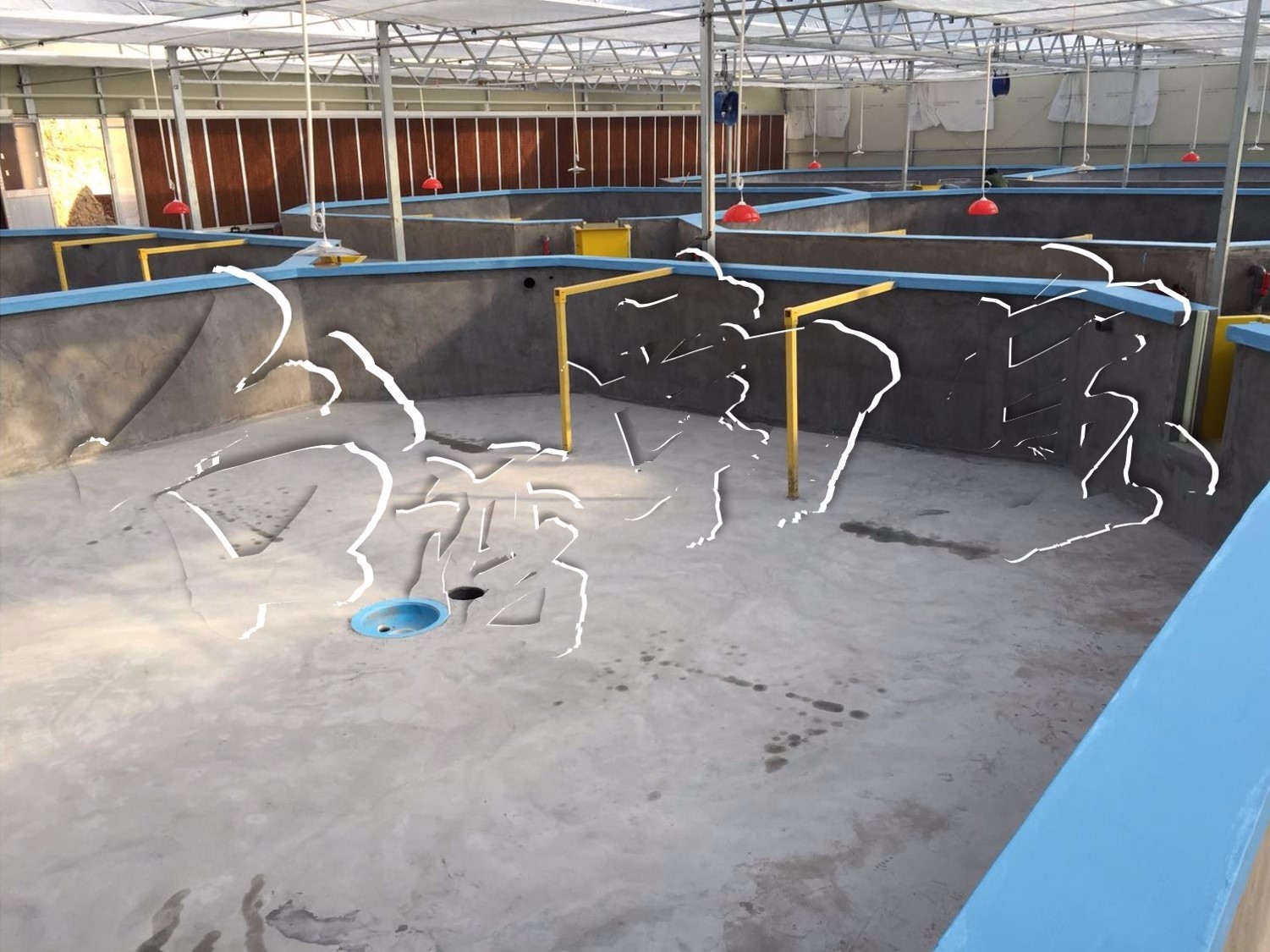 养鱼池漆,水泥池刷漆使用简介