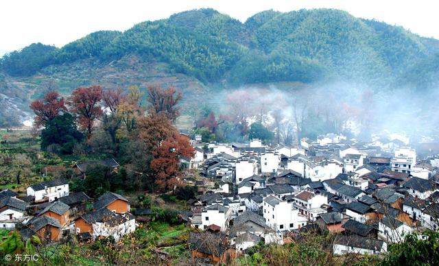 乡村振兴的合适路径何在?三十位学者的经典论