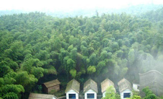 耒阳城区人口_对耒阳城区自建房的看法