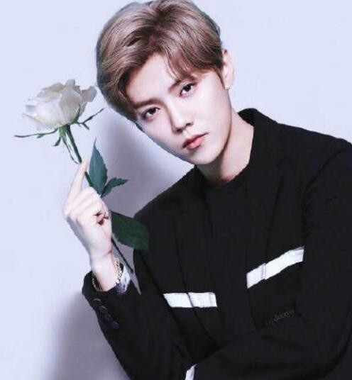 鹿晗张韶涵,张韶涵我最喜欢的歌就是快乐崇拜!和我鹿晗一起唱?