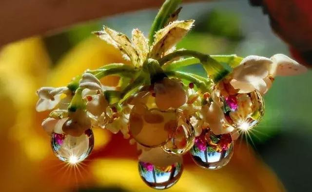 努力,就是美好,就是无怨无悔