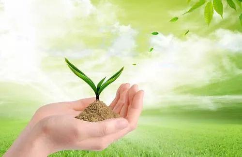 家庭教育心得体会