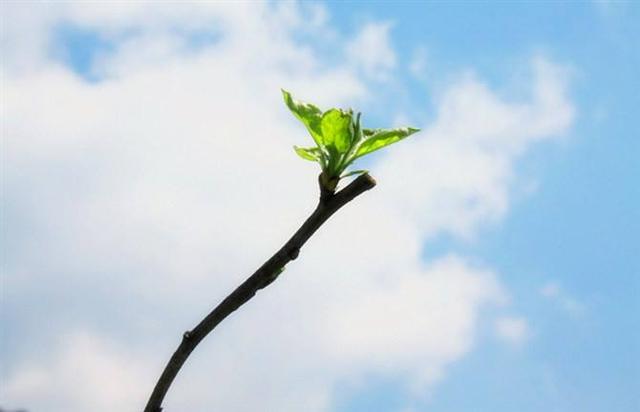 不将就!不凑合!要让婚姻真正的幸福,做好这三点