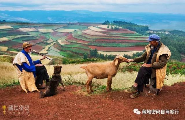 被上帝垂青大地—云南东川红土地,最新旅游及摄影攻略!!