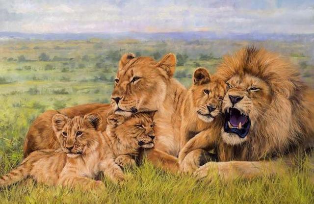 什么什么雄狮成语_雄狮长什么样子图片