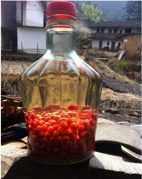 教你这一招治鼻炎,花椒和它一起泡,鼻炎的良药