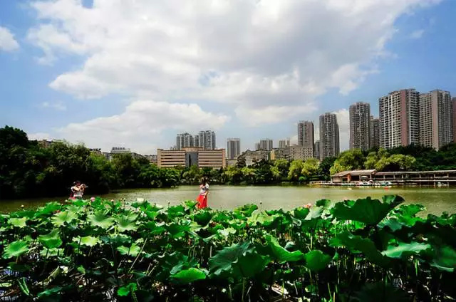 大渡口公园