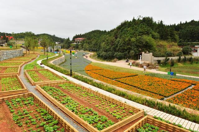 长沙周边游攻略,长沙自助游攻略适合攻略的1自驾深圳大屿山到图片