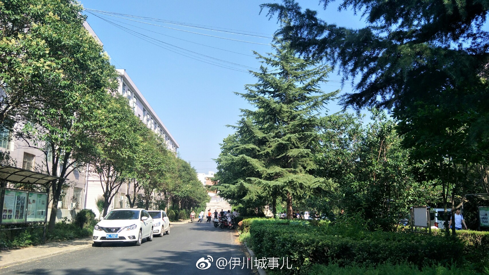 这儿是伊川--伊川一高印象