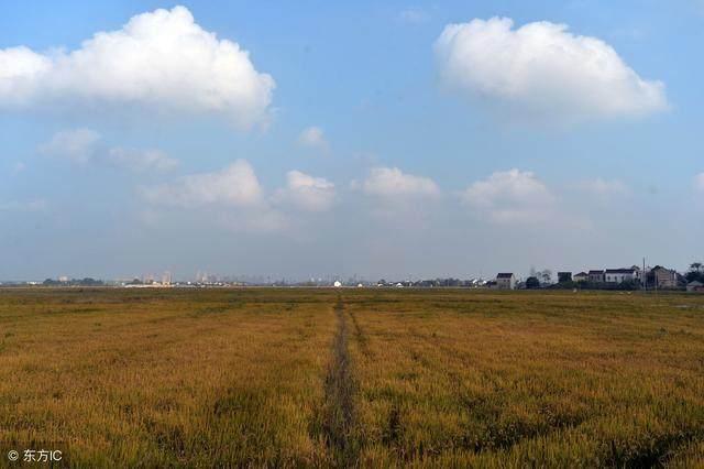 许家印再次豪言: 2018年4万投资这2大行业, 你