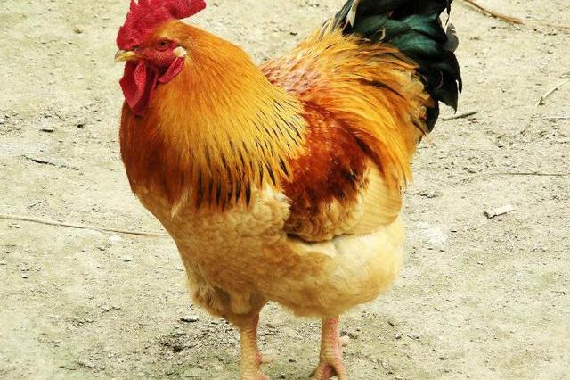 我国从未改过名的城市名字已经沿用了3100多年历史上绝无仅有