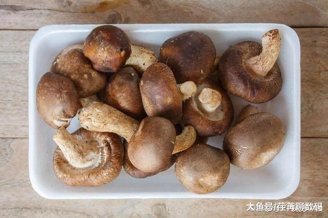 香菇是蘑菇吗