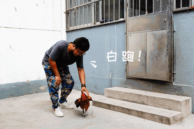喜大普奔!今天起,全国各地都能叫到临沂的炒鸡了!