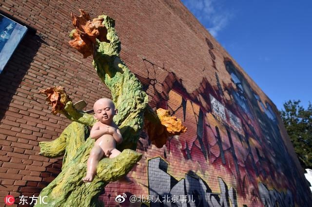 时髦文青趁大美秋天去798拍照 北京艺术气氛最