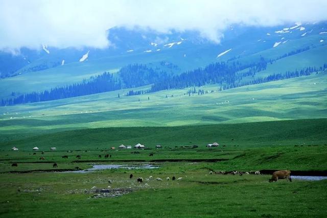 不到新疆你不会知道大自然有多美,景色美焕绝伦繁花似锦 三