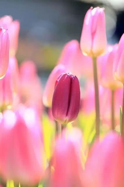 意境深远的唯美句子,让人忍不住收藏