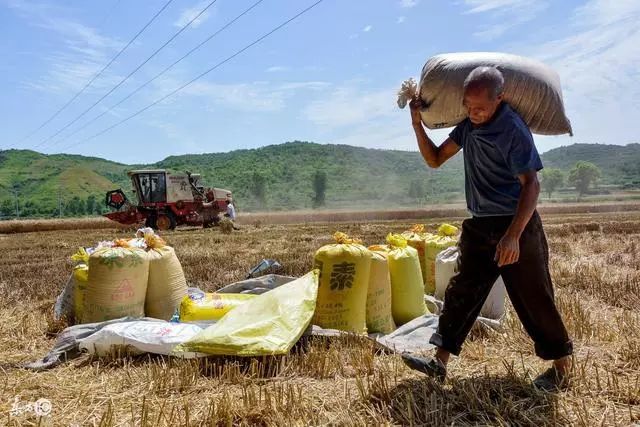 2018年粮食直补发放时间已经确定 朔州有5类