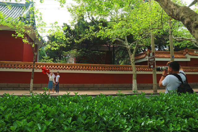 青岛“大学路”文艺范儿十足,“网红拐角”拍唯美大片