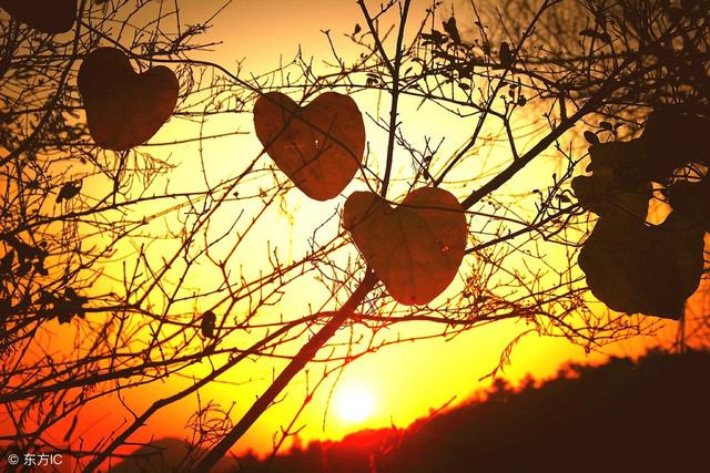 20条很文艺的很暖的情话,句句唯美深情(情人节