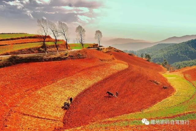 被上帝垂青大地—云南东川红土地,最新旅游及摄影攻略!!