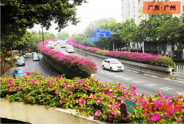 2018年宜居城市排行:苏州、北京、天津成中国