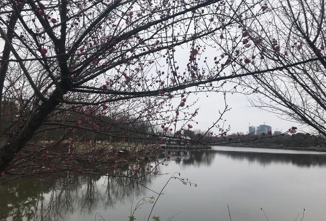 现在的女生真的太难追了,这就是男生单身原因