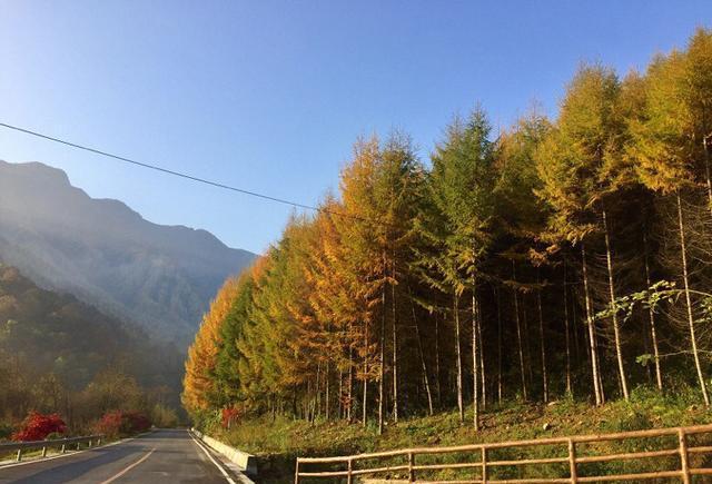 11月份适合去哪里旅游? 跟着秋天的脚步, 遇见