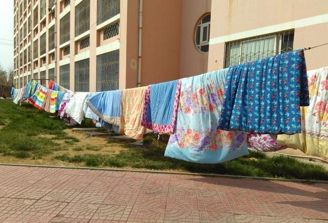 夏天晒被子时,注意2个“细节”,大多数人不知道,难怪螨虫安家